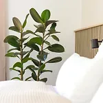 Apartmán 80qm Luxurioese Designerwohnung Im Herzen Bochums *